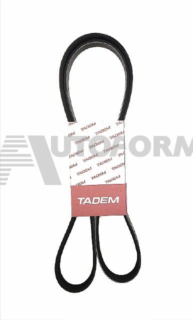 картинка 8200833541РУ (5РК1750) ремень генератора для а/м Renault Logan, 8V, с ГУР, с кондиц. от магазина 